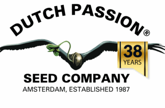 Dutch Passion Summer Fruit Festival – 1+1 Gratis & 20 % Rabatt auf fruchtige Strains