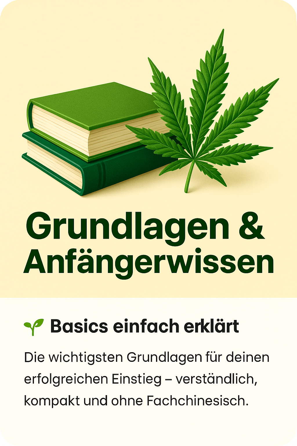 Grundlagen & Anfängerwissen