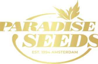 Paradise Seeds – Premiumsorten reduziert + 10 % mit Newsletter