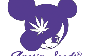 Neue Genetik 2025 bei Anesia Seeds – Top-Sorten jetzt entdecken