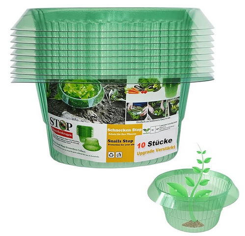 Schneckenkranz
