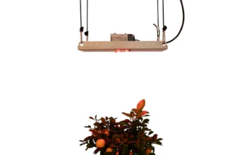 pro-emit FarRed Kit SMD Standalone