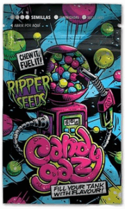 Screenshot 2025-09-05 at 13-29-18 CandyGaz feminisierte Marihuanasamen Ripper-Samen
