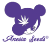 Neue Genetik 2025 bei Anesia Seeds – Top-Sorten jetzt entdecken